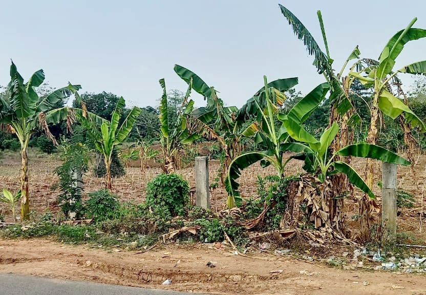 Lahan 2 Hektare Diacak-acak, Adik Eks Wakabareskrim Tantang Penyerobot Tanah di Moncongloe (dok)