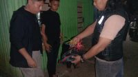 IMG-20260713-WA0113